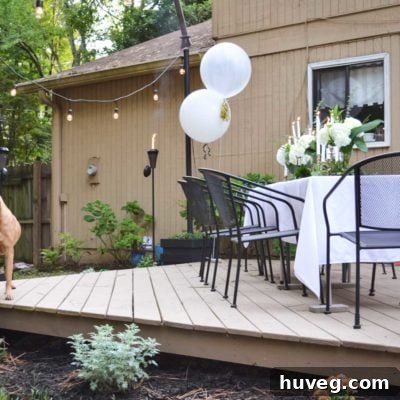 white table with black chairs on floating deck and dog
