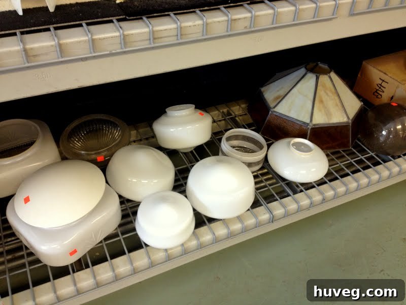 A display of various glass schoolhouse light shades and other lighting components available at Habitat ReStore, hinting at the potential for affordable lighting upgrades.