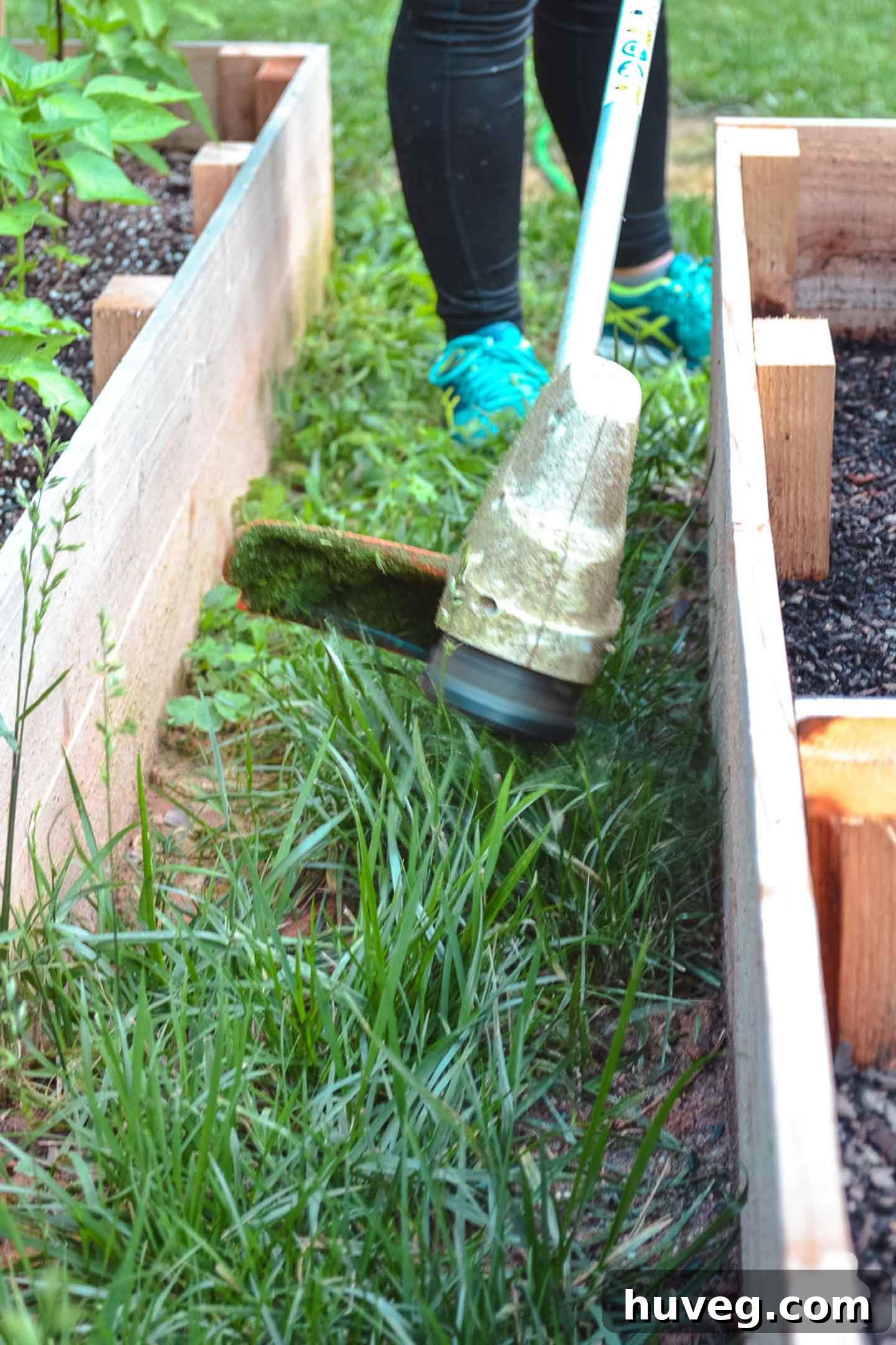 closeup using stihl trimmer around garden beds
