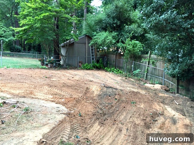 backyard overhaul of filling in sink hole and clearing out trees - lots of fill dirt