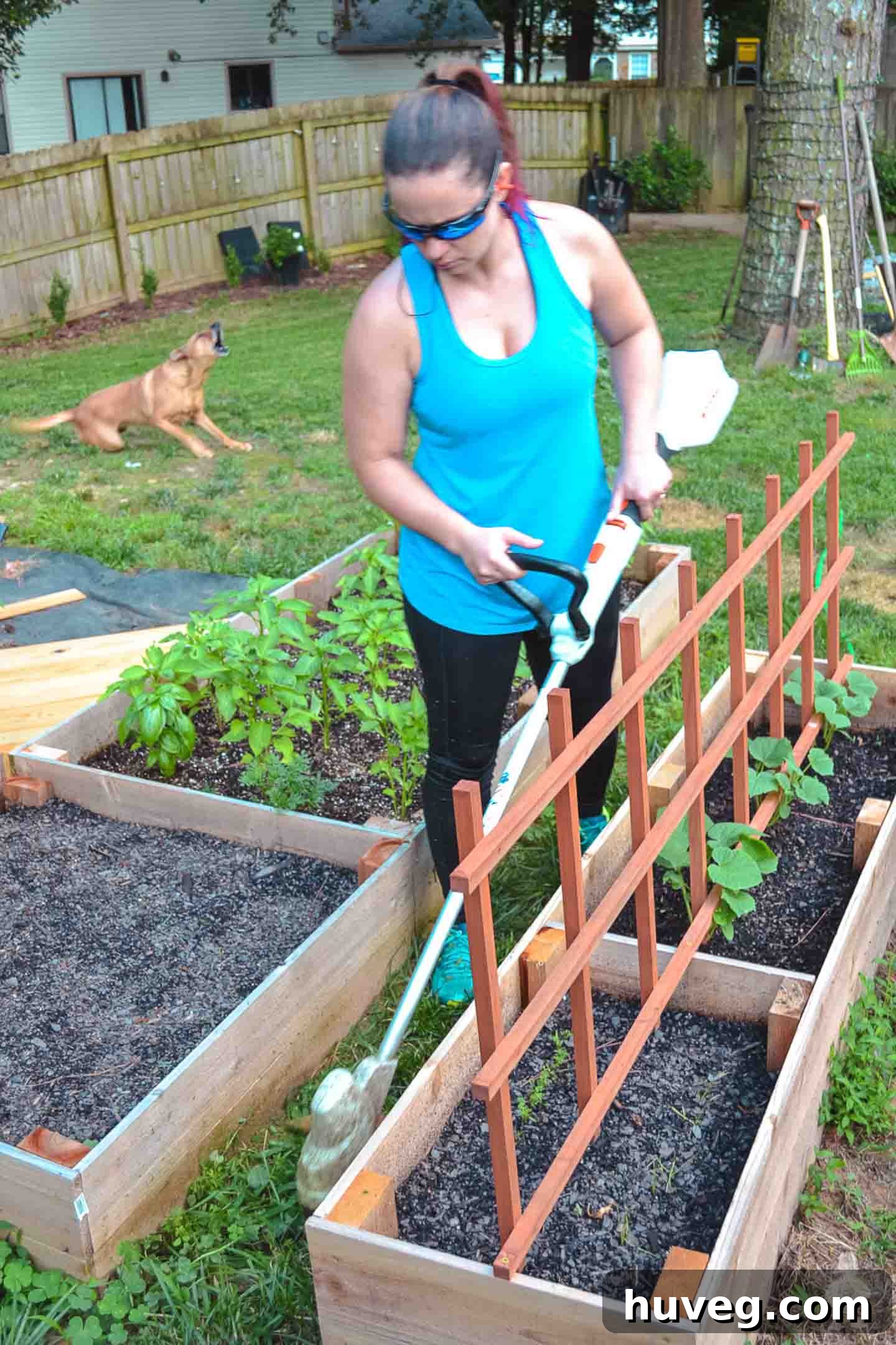 using STIHL trimmer around garden beds