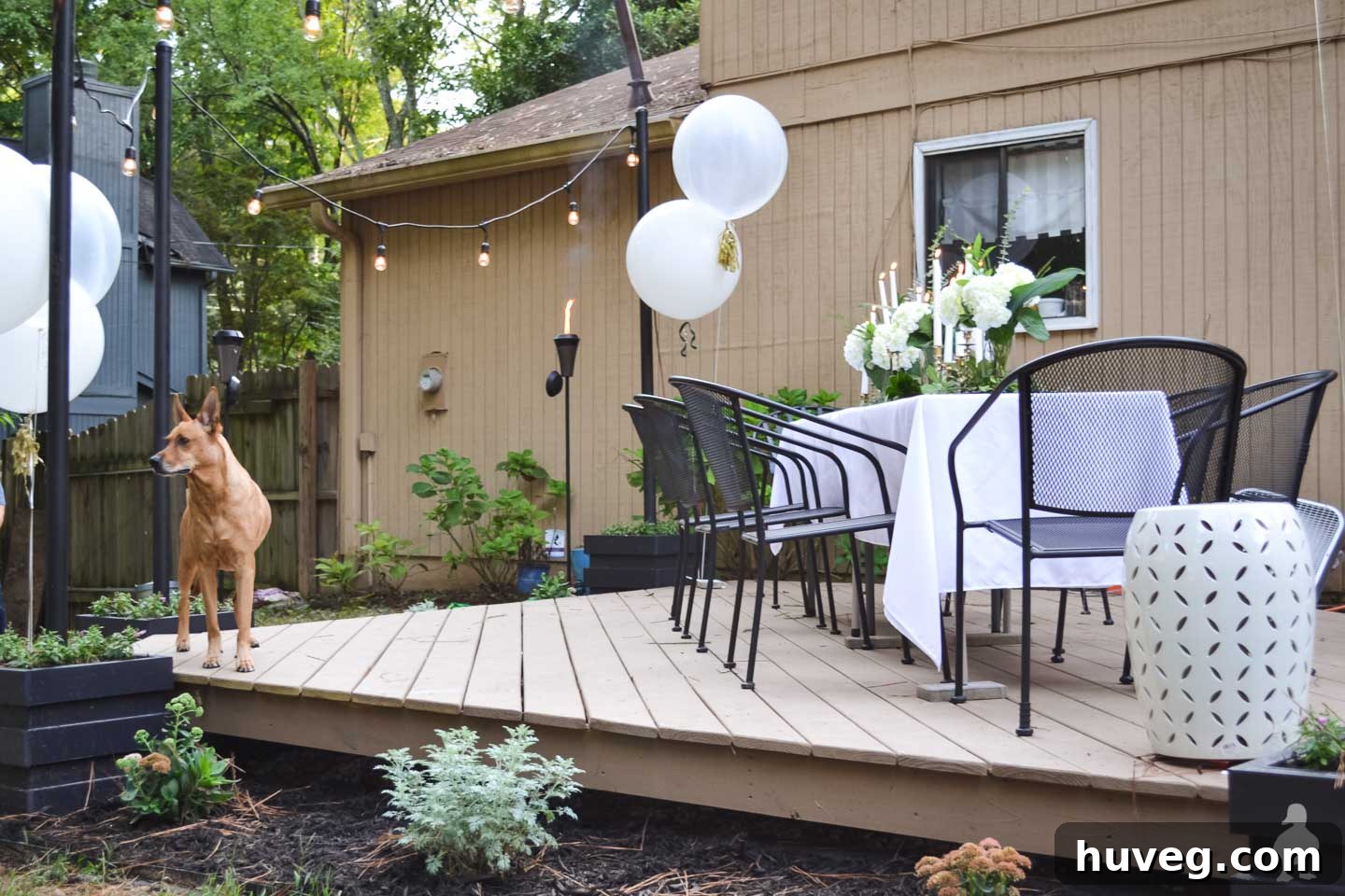 white table with black chairs on floating deck and dog