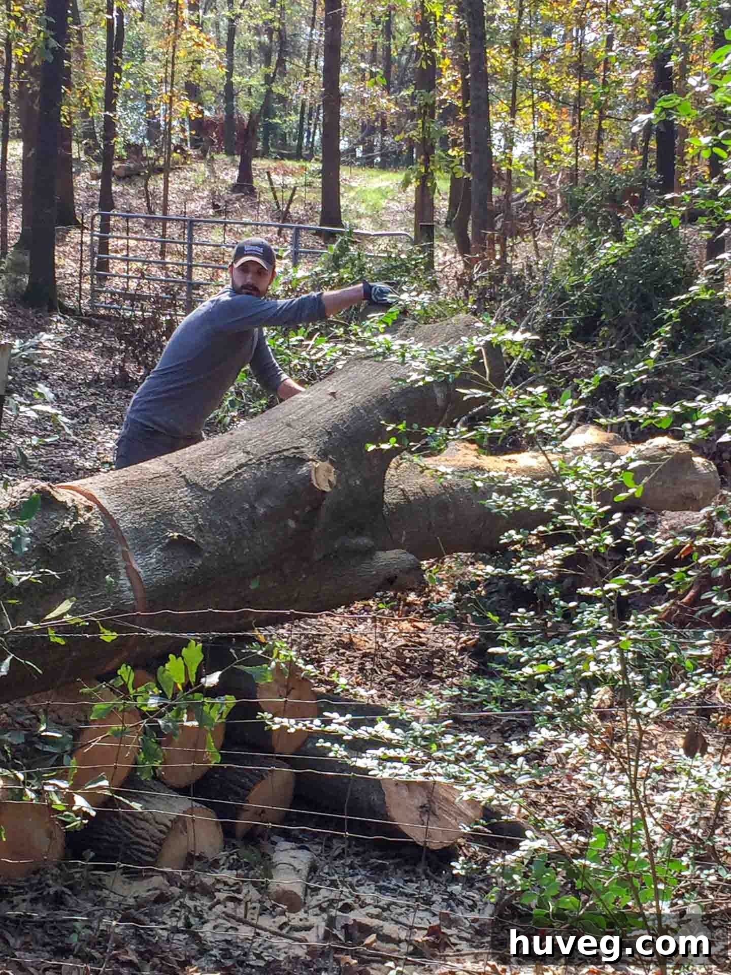 A person cutting down trees in Americus, showing the challenging nature of the cleanup.