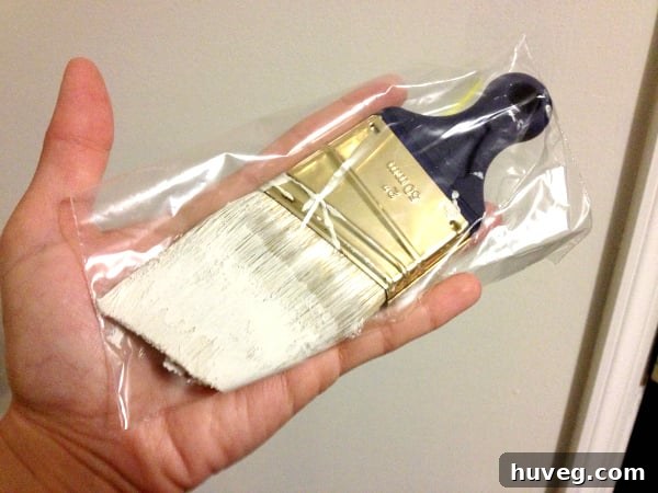 How to Keep a Paint Brush From Drying Out Easily