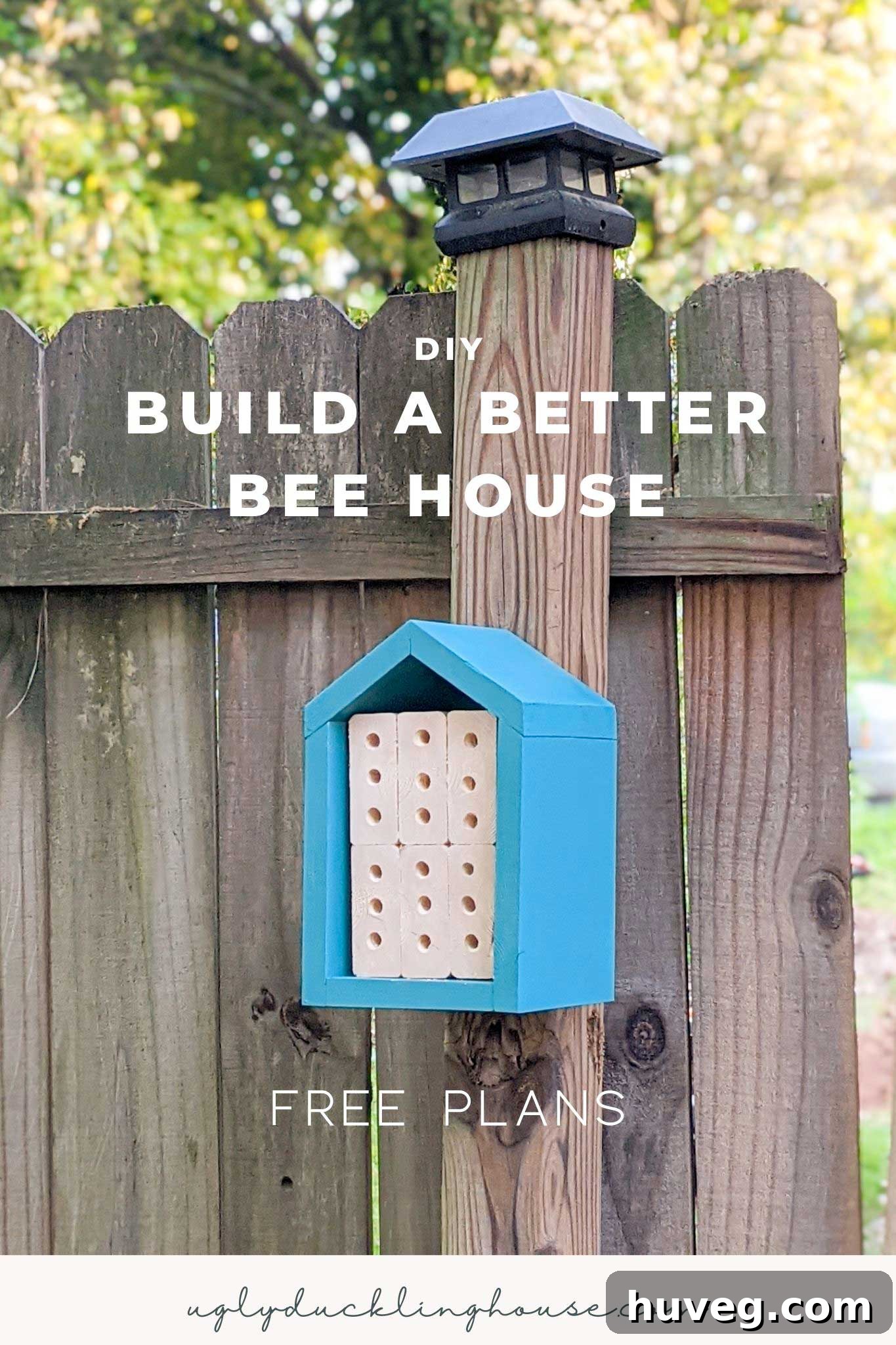 how to build a better bee house with these simple rules