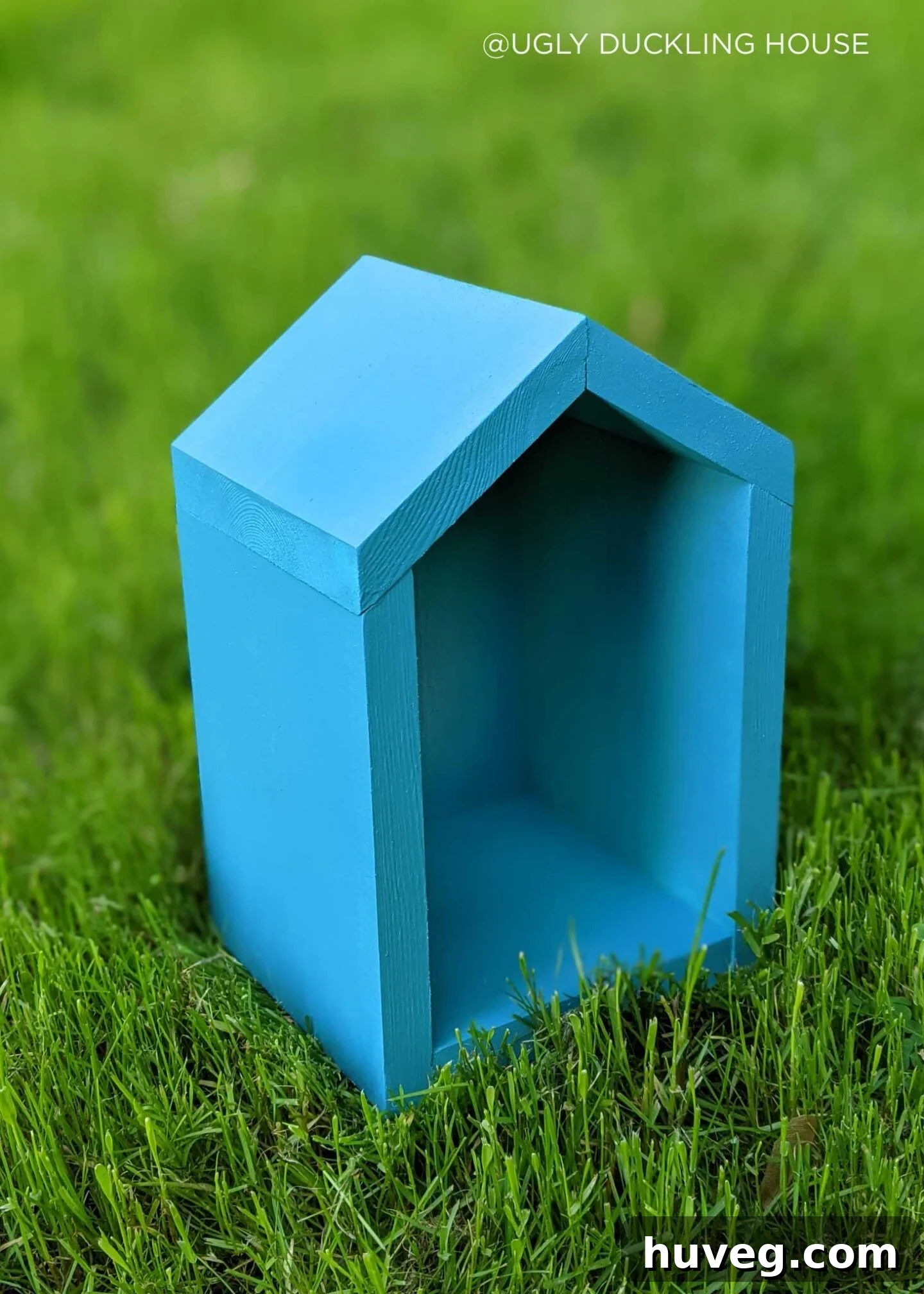 blue color for bee house