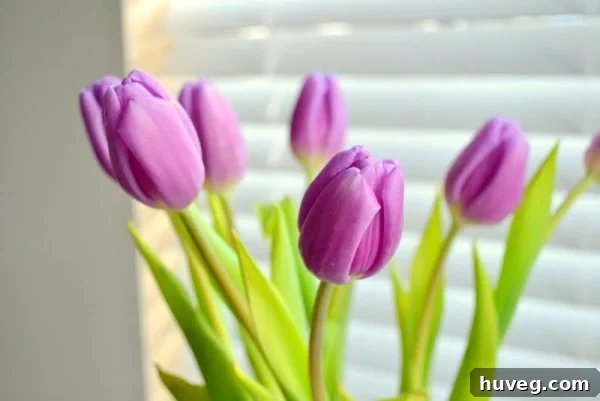 Close-up of vibrant purple tulips in a milky teal vase, enhancing the spring aesthetic of a bright living room.