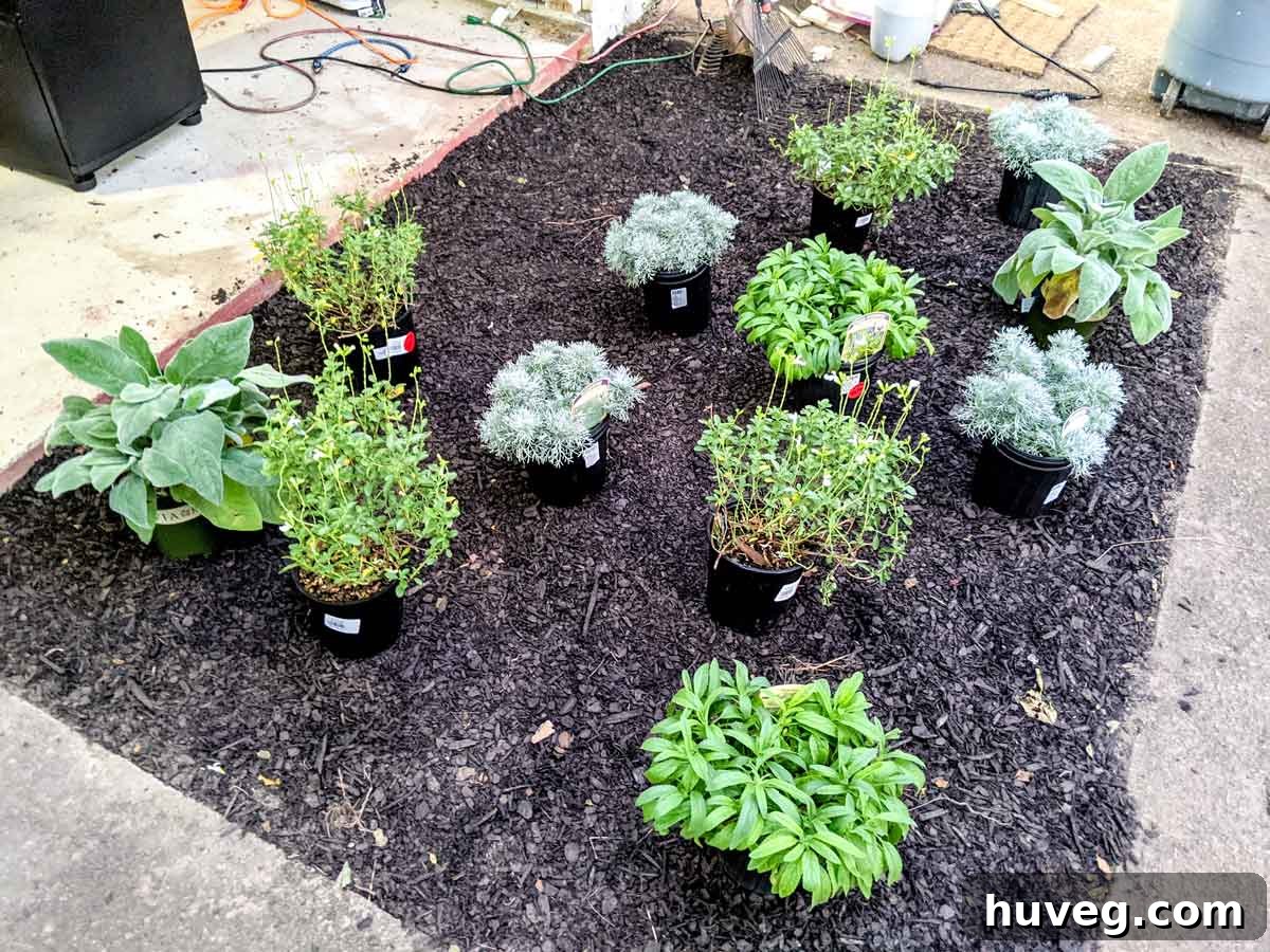 place all plant pots on the ground to figure out the layout