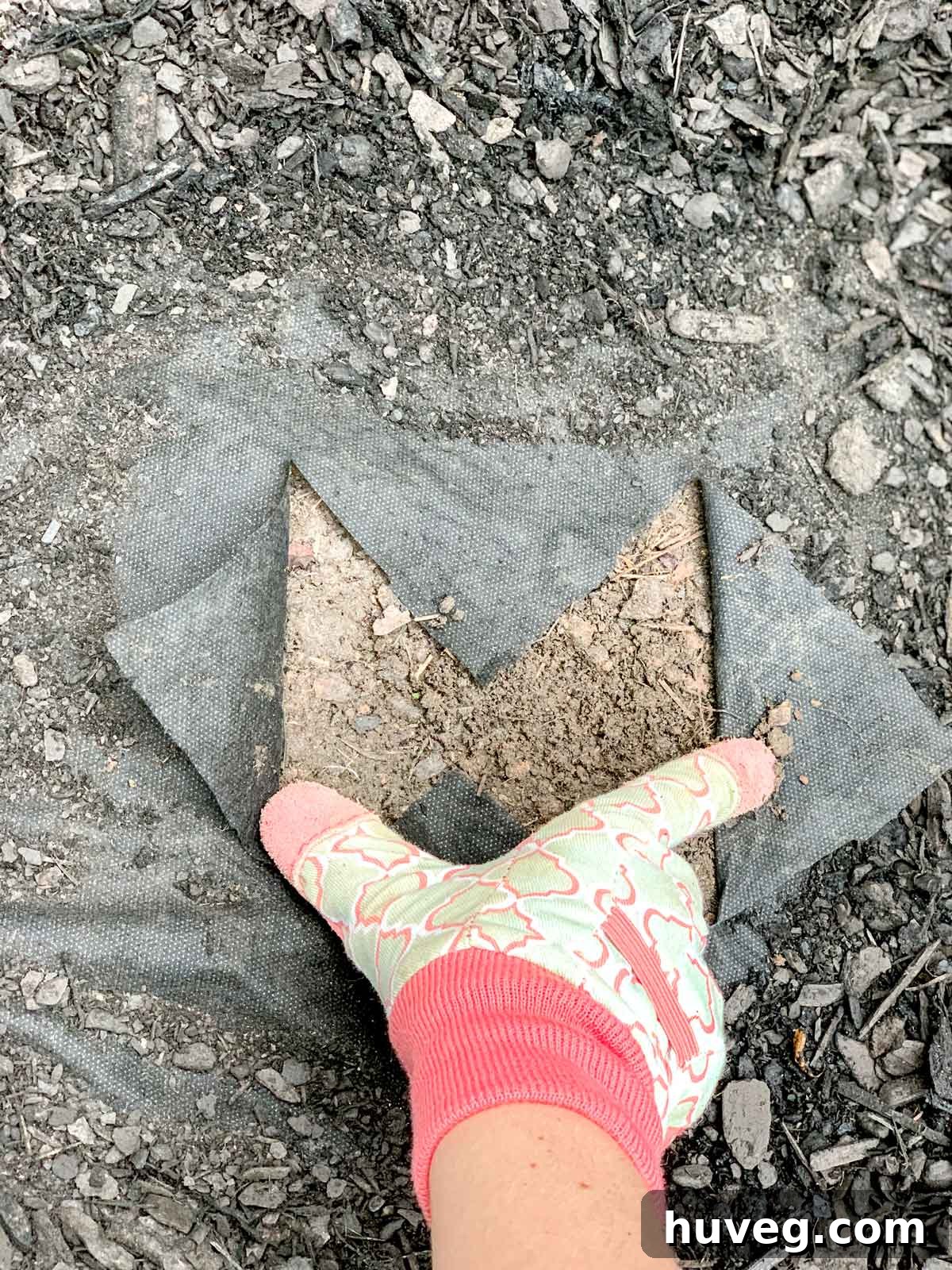 Cut X in landscaping fabric to dig hole for plant