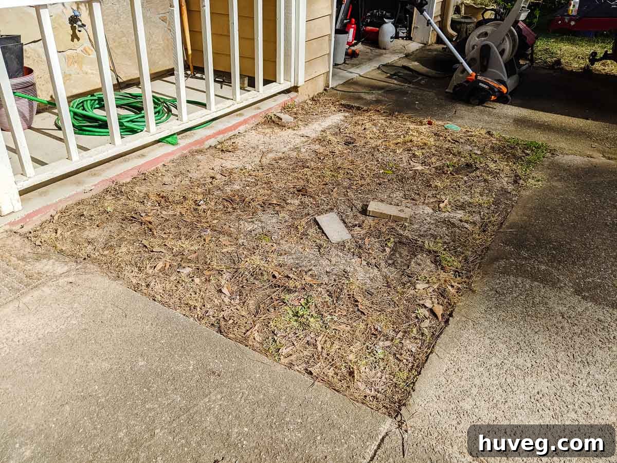 old garden bed with all plants removed and weeds killed off