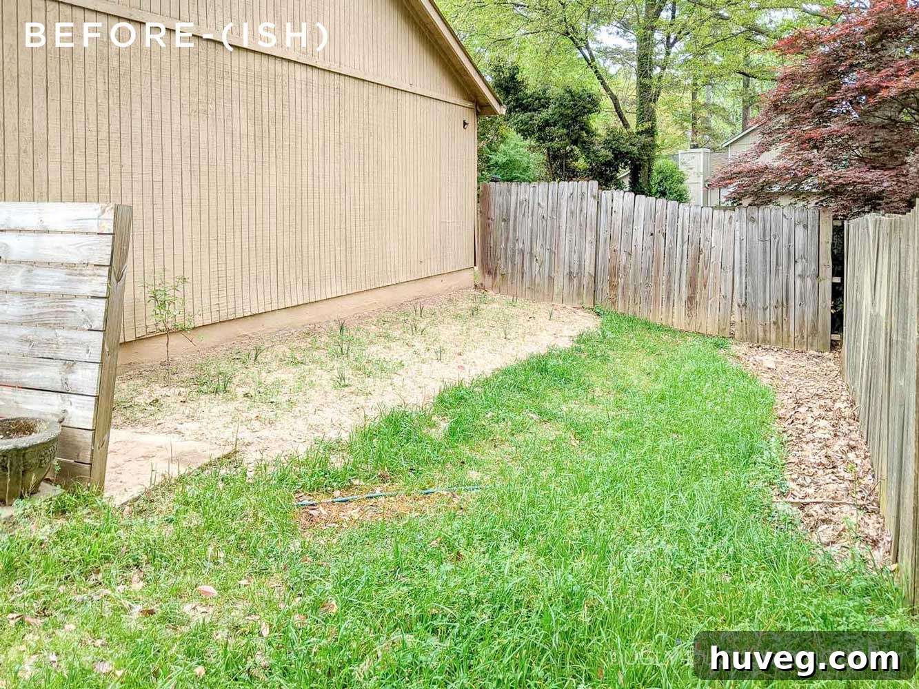 Before image of the side garden, showing an overgrown and unkempt area next to the house.