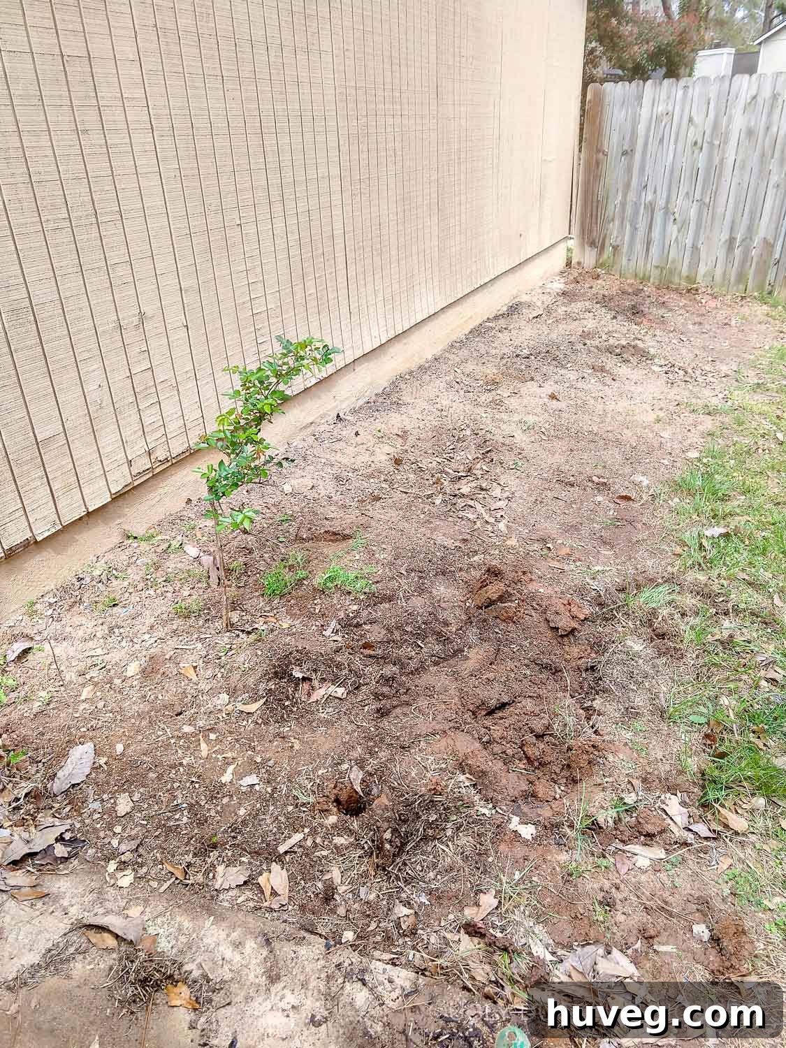 Close-up of the side of the house before new planting, showing weeds and debris.