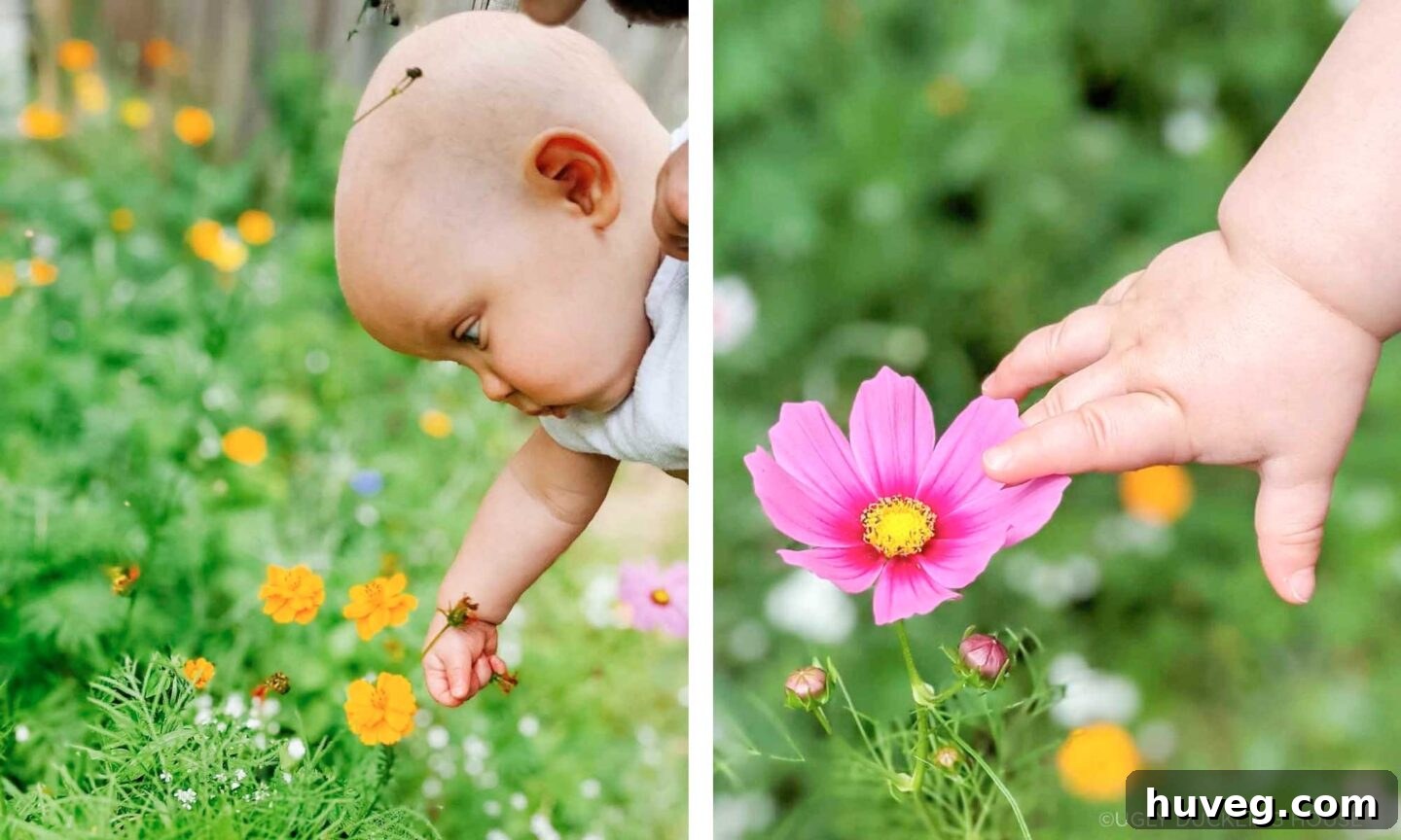 A baby, Ellis, happily interacting with the vibrant wildflower garden, highlighting its family-friendly appeal.