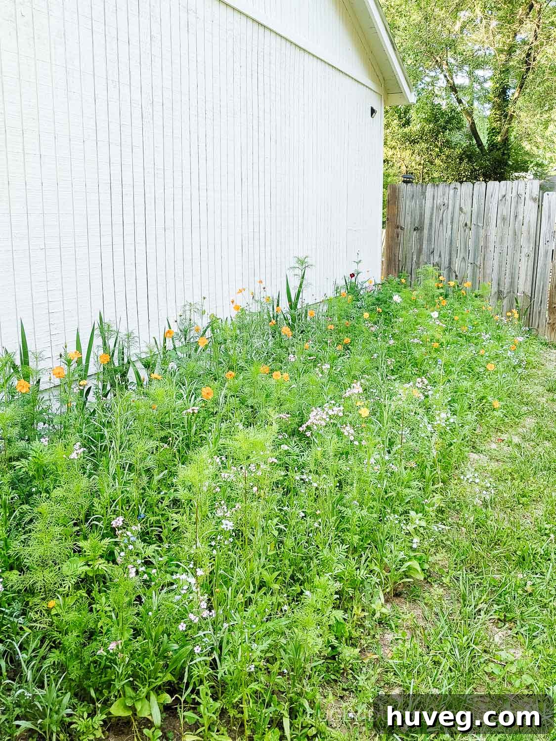 A flourishing wildflower garden, attracting butterflies, bees, and other beneficial insects.