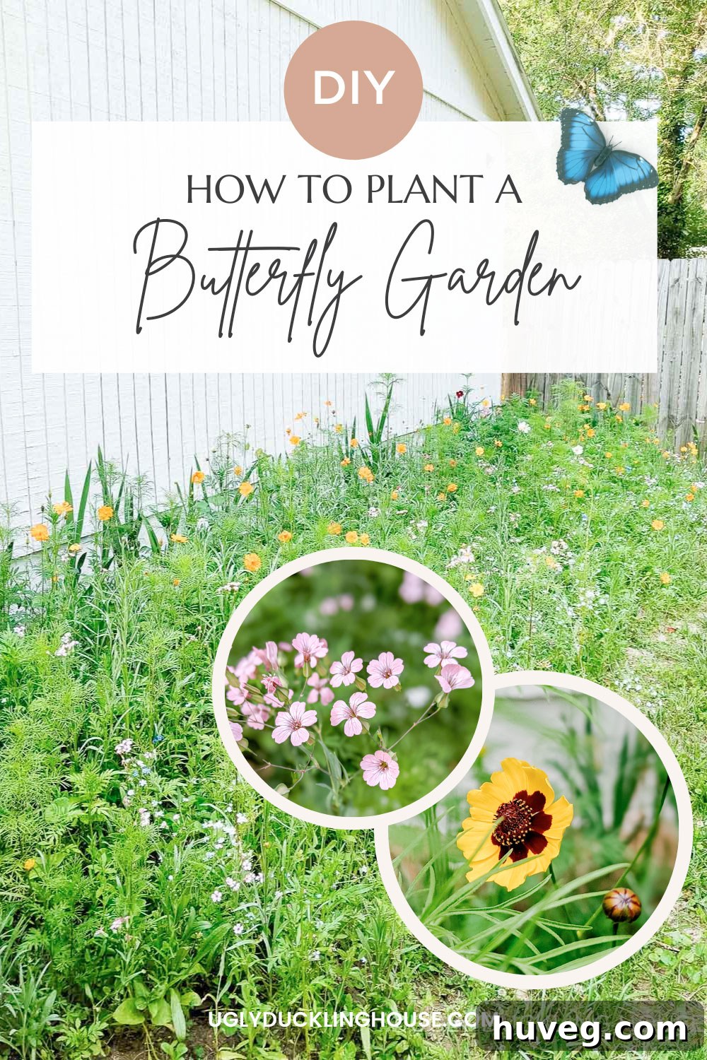 Infographic style image summarizing 'How to Plant and Grow a Butterfly Garden: 5 Benefits'