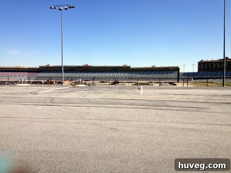 Panoramic view of Atlanta Motor Speedway, host of The Color Run, bustling with participants.