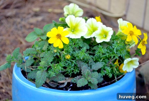 Smaller backyard planter filled with new flowers