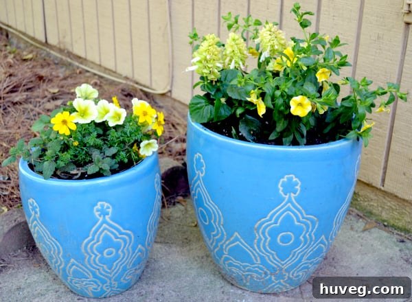 Refreshed patio planters after adding colorful flowers