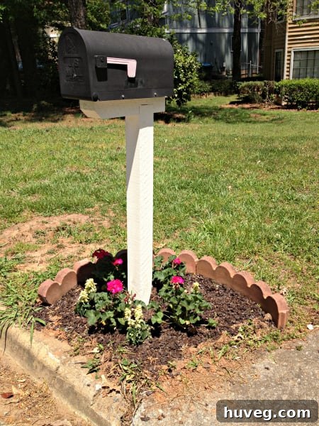 Newly planted flowers around the mailbox, featuring geraniums and salvia