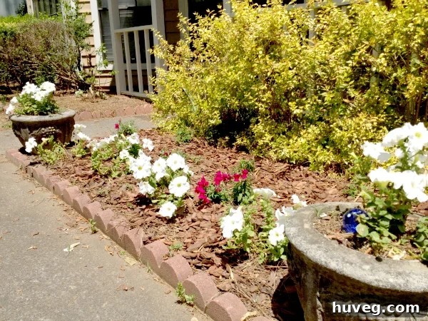 Transformed front garden with fresh mulch and trimmed shrubs