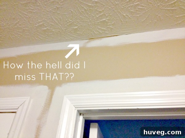 Close-up of a hallway wall showing a clearly missed spot where paint was not applied, revealing the original wall color.