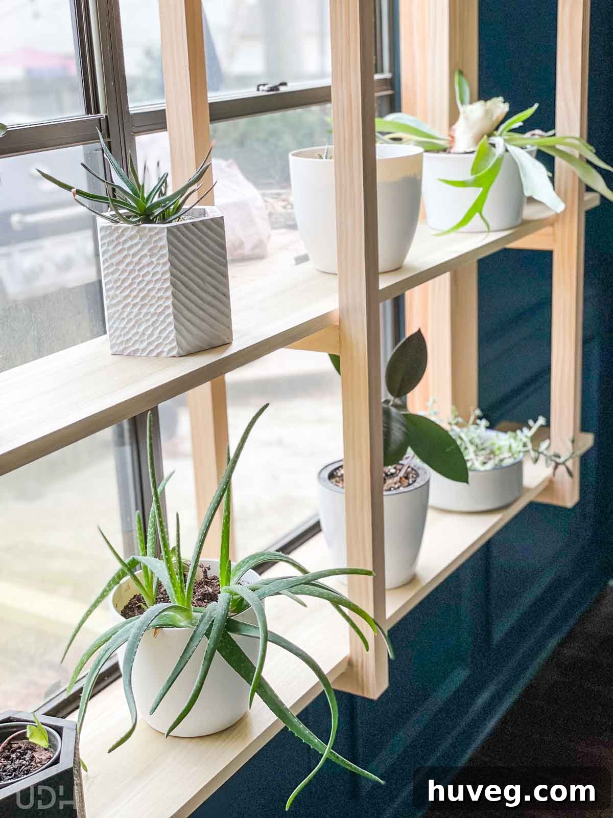Beautifully arranged DIY window plant shelves with a variety of houseplants