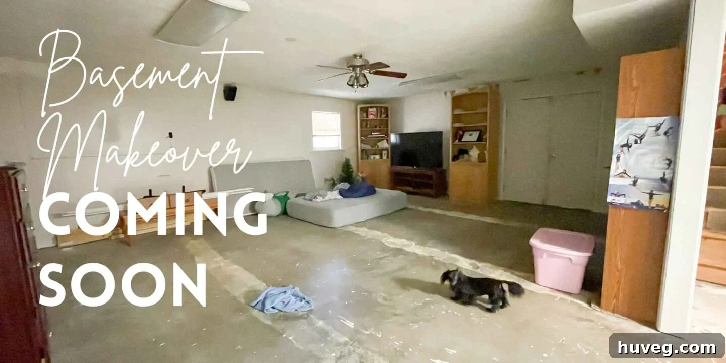 Basement apartment makeover coming soon with a hint of modern design