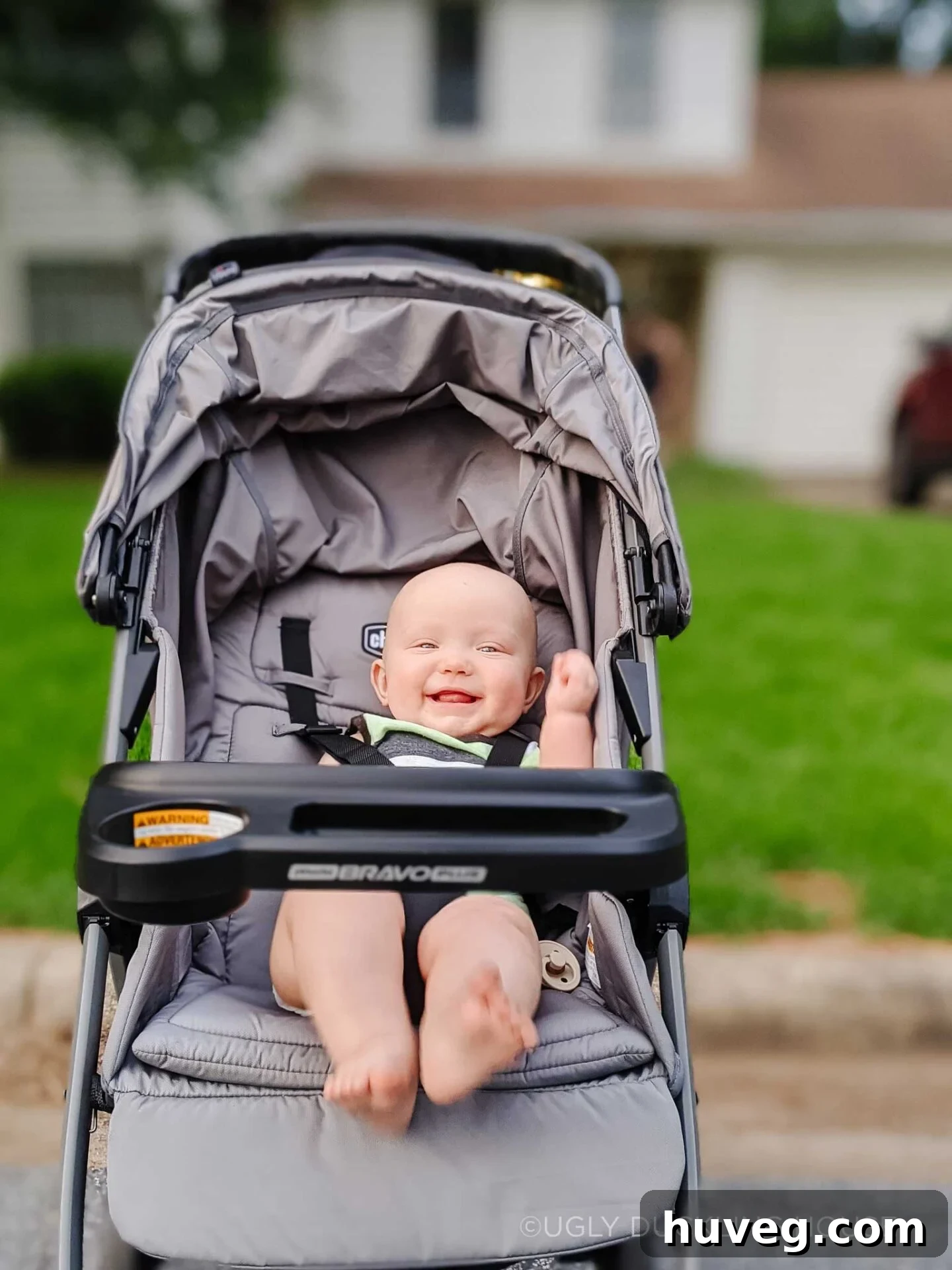 Ellis in his stroller on our nightly walks