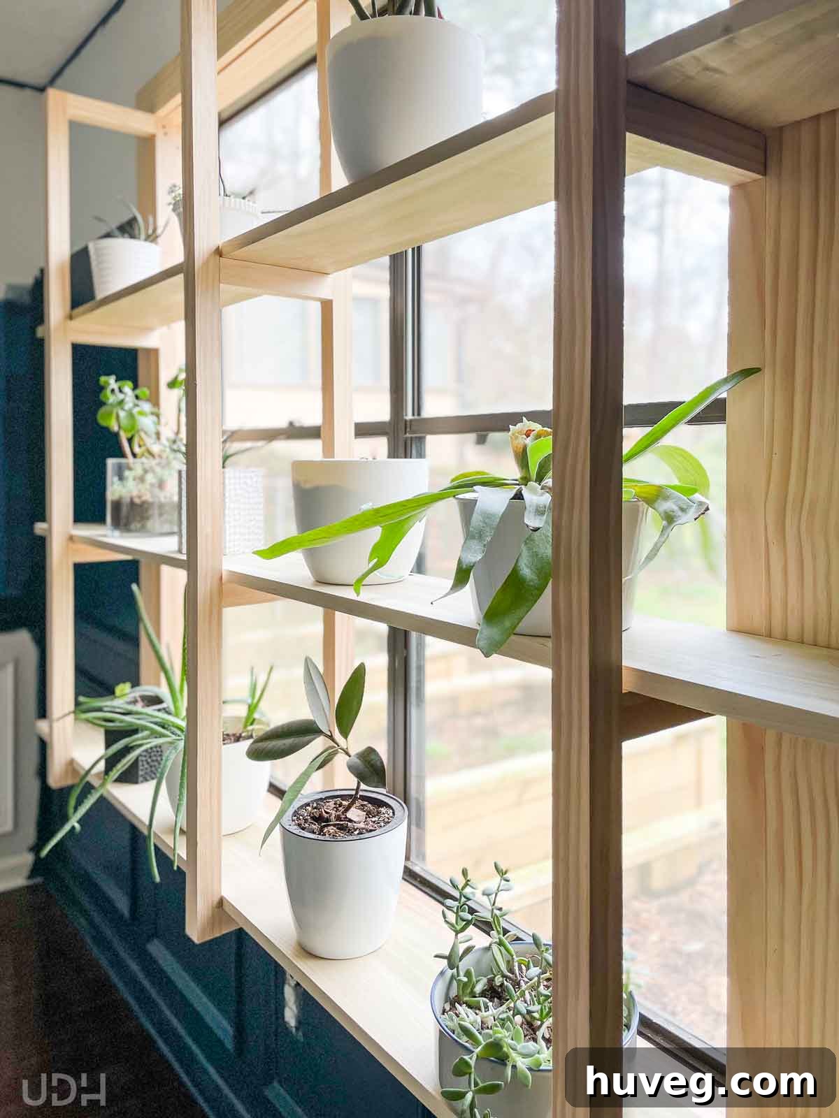 A sneak preview of our latest DIY project: elegant window plant shelves, adding greenery and charm.