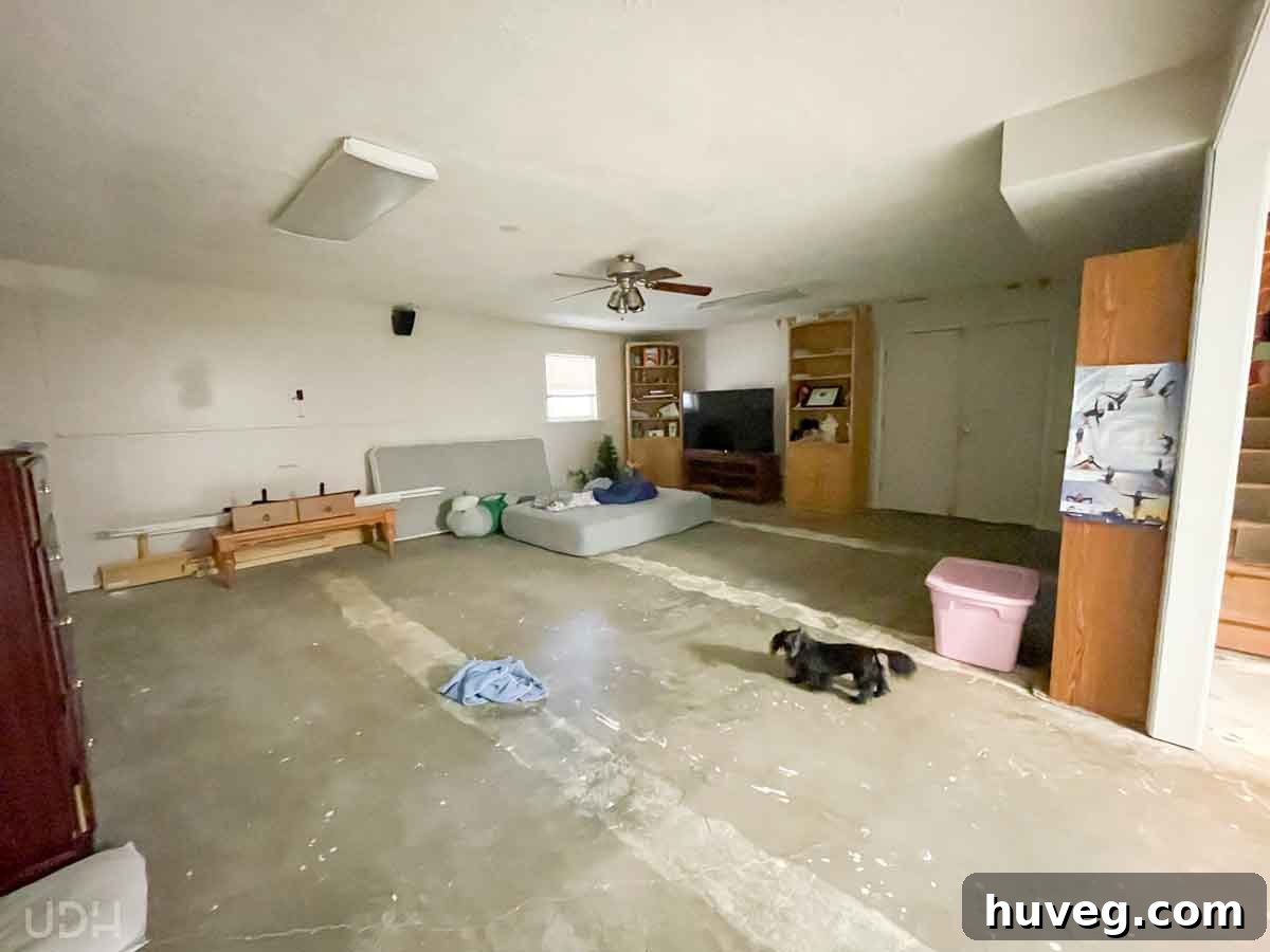 The unfinished basement apartment before renovation, showcasing its raw potential.