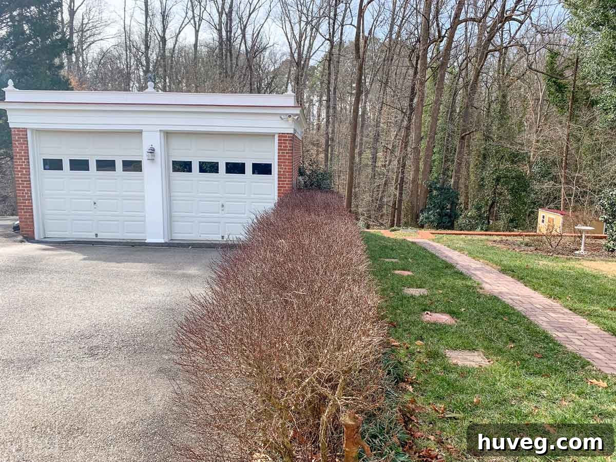 Detached garage and partial backyard view of our Virginia home