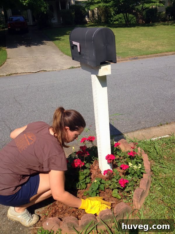 Well-mulched garden bed around a mailbox, demonstrating clean landscaping