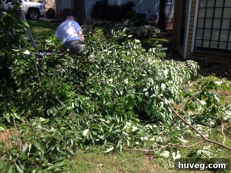Aftermath of a drastic yard cleanup showing a large pile of green debris