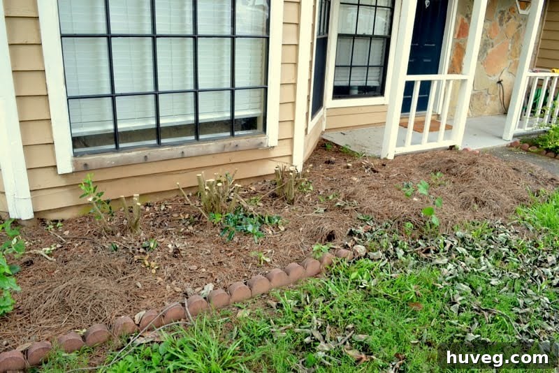 Closer shot of the cleared front yard, emphasizing the open space