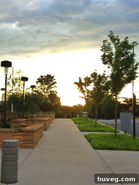 A serene sunset over a university campus, casting warm hues across academic buildings and trees, symbolizing the beauty found amidst hard work.