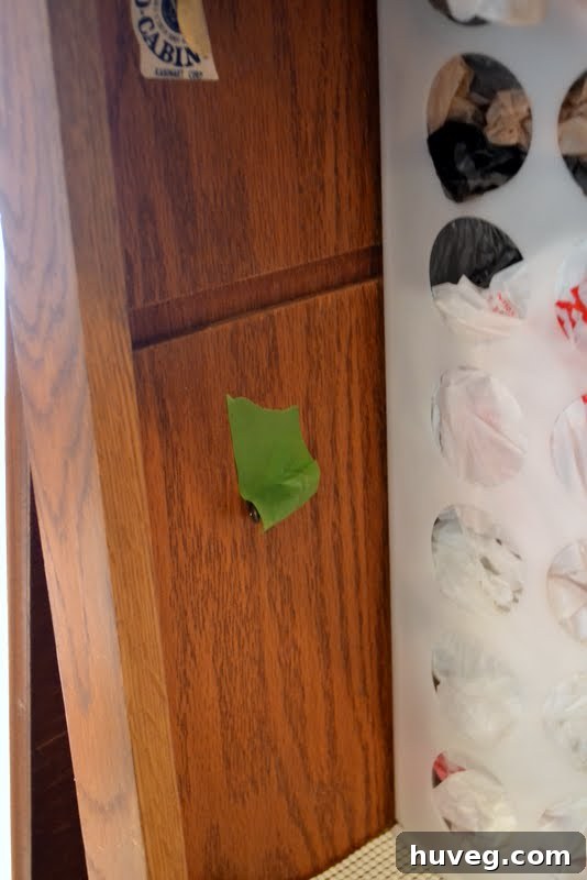 kitchen cabinet prep