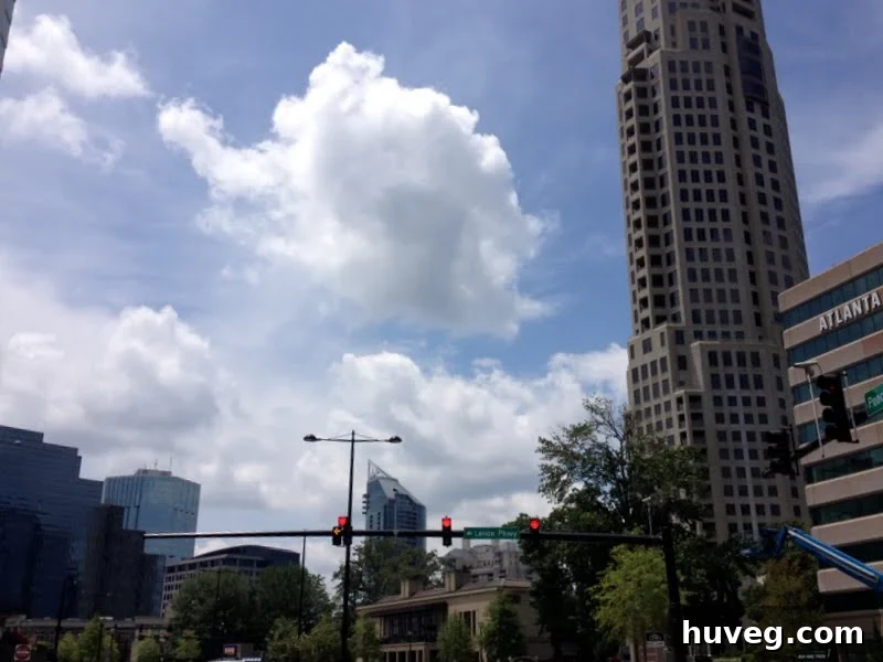 Beautiful weather in Atlanta, Georgia, setting a pleasant backdrop for the Haven Conference