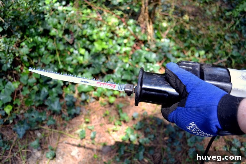 Dad using a pole saw to trim high branches for better light