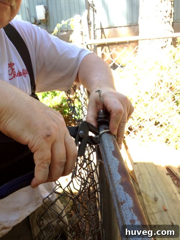 removing old chain link fence posts