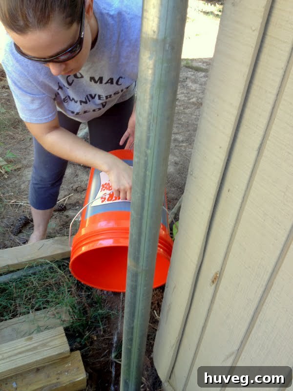 pour water to soften hard dirt and dig