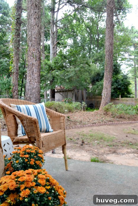 Relaxing backyard patio view
