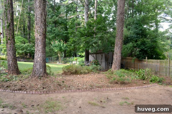 Transformed backyard after makeover