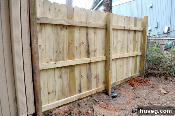 Newly built wooden backyard fence