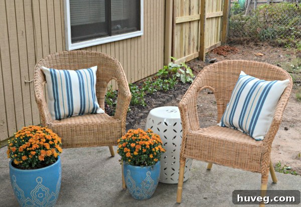 Vibrant patio with new plants and decor