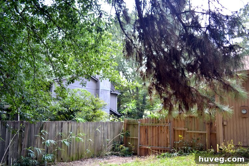 Before backyard makeover showing overgrown and neglected garden area