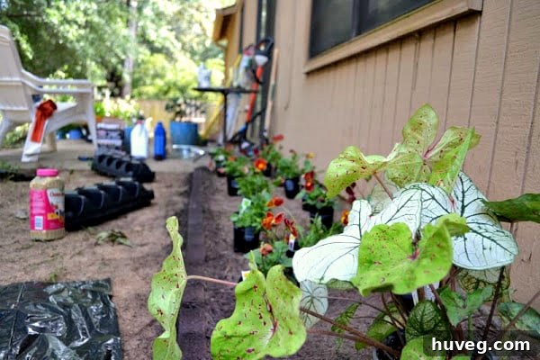 Assortment of fall plants including hydrangeas, rosemary, pansies, and mums