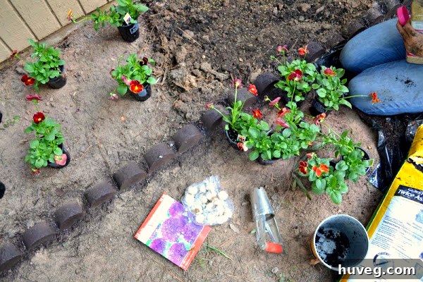 Digging holes for planting pansies and spring bulbs