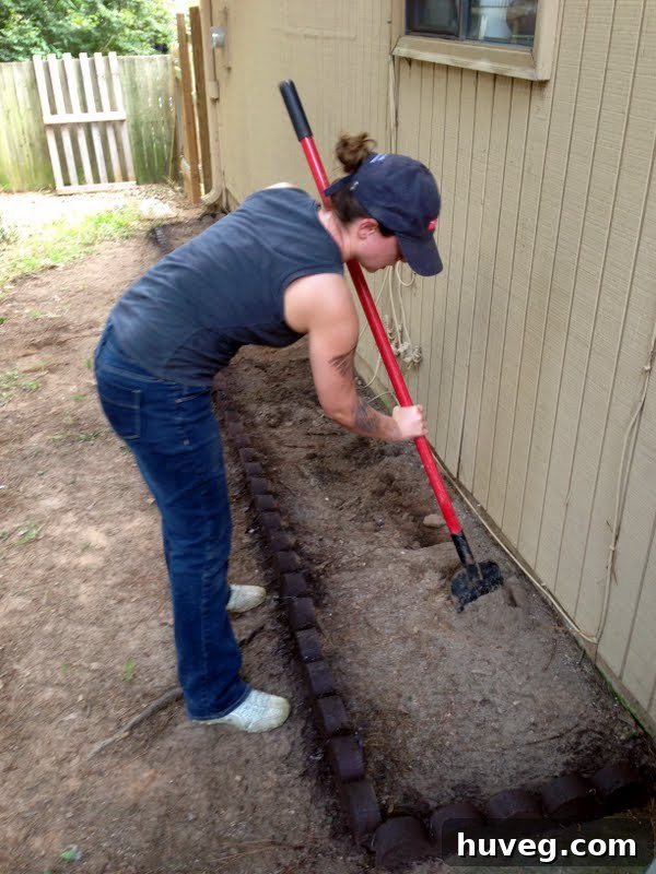 Mixing fresh potting soil into the existing dirt on the left garden bed
