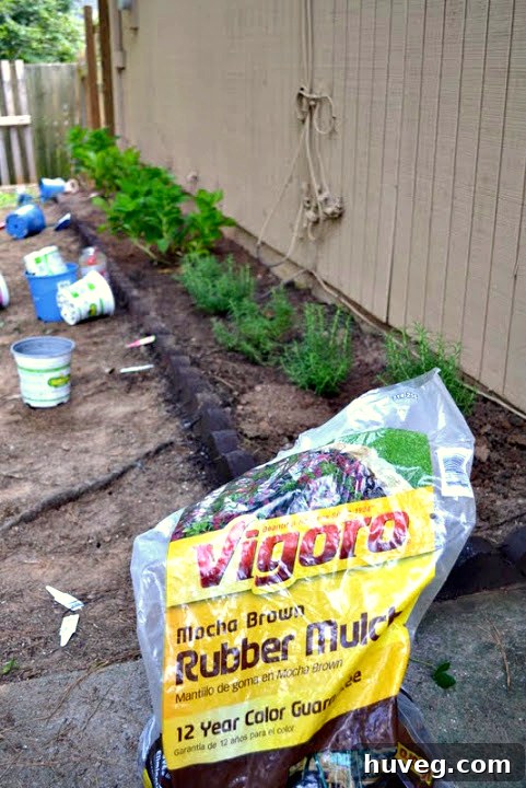 Spreading dark brown rubber mulch in the garden beds
