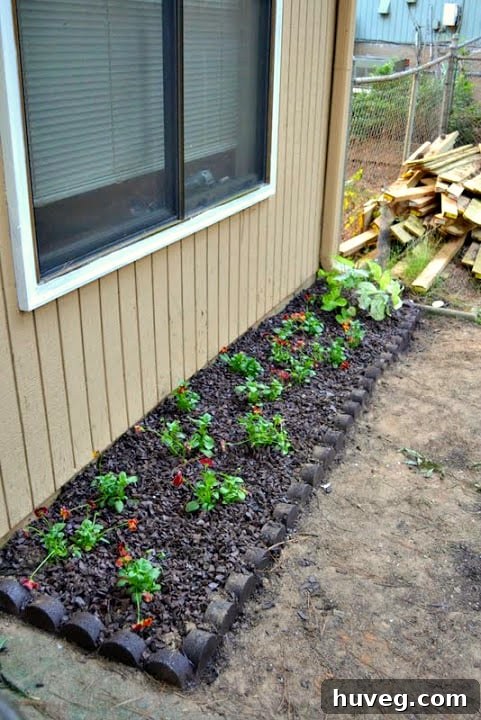 After photo of the right side of the patio garden bed with pansies and other fall plants